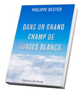 dans un grand champ de nuages blancs