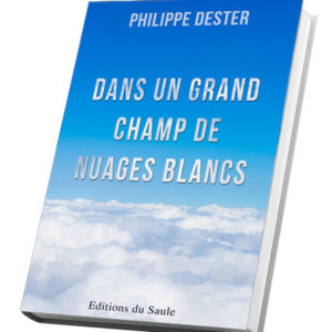 dans un grand champ de nuages blancs